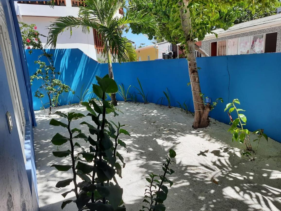 Royal Beach Dhigurah Дигура Экстерьер фото